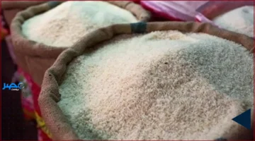 أسعار الأرز.. تحديث يومي يكشف التغيرات في سعر كيلو الأرز بأسواق اليوم